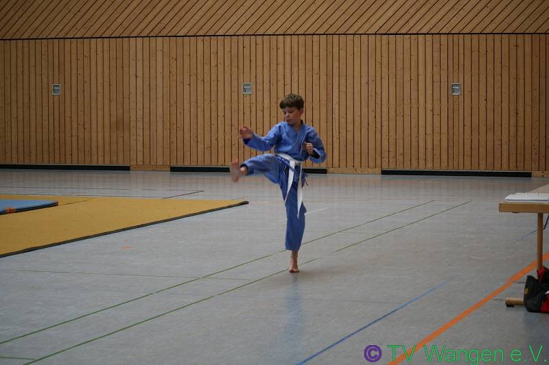 IMG_7665_(800_x_600)