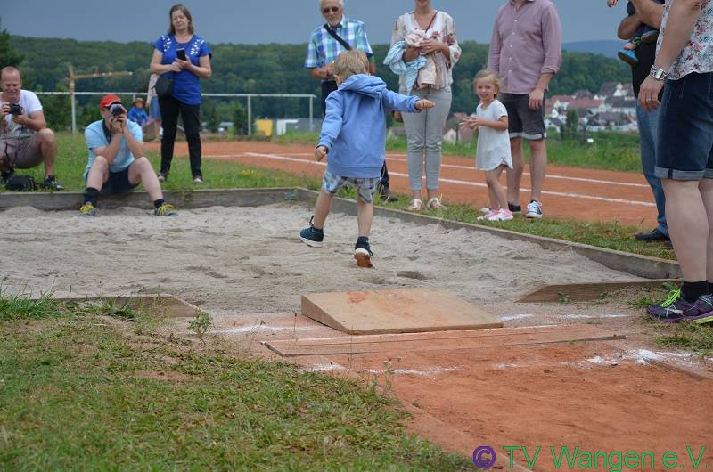 DSC_1681_(800_x_600)