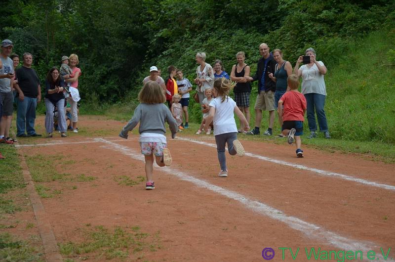 DSC_1699_(800_x_600)