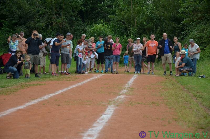 DSC_1711_(800_x_600)