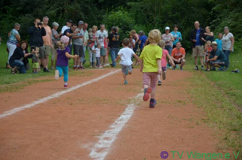 DSC_1725_(800_x_600)