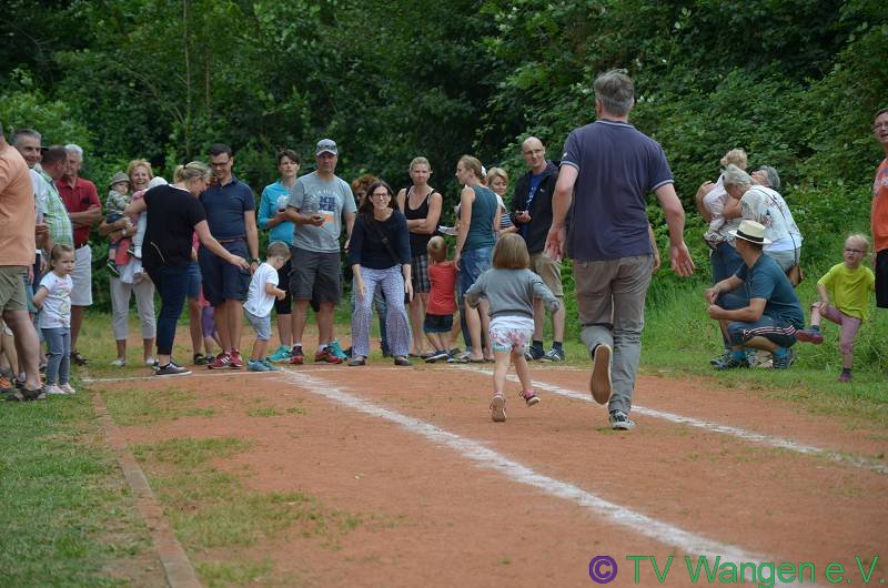 DSC_1735_(800_x_600)