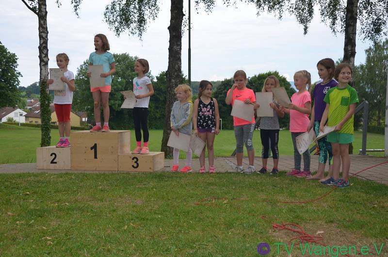 DSC_1974_(800_x_600)