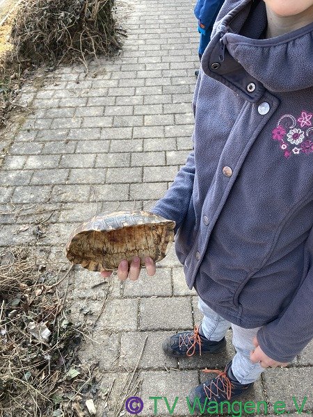 2022-03-12 Kreisputzete Wangen